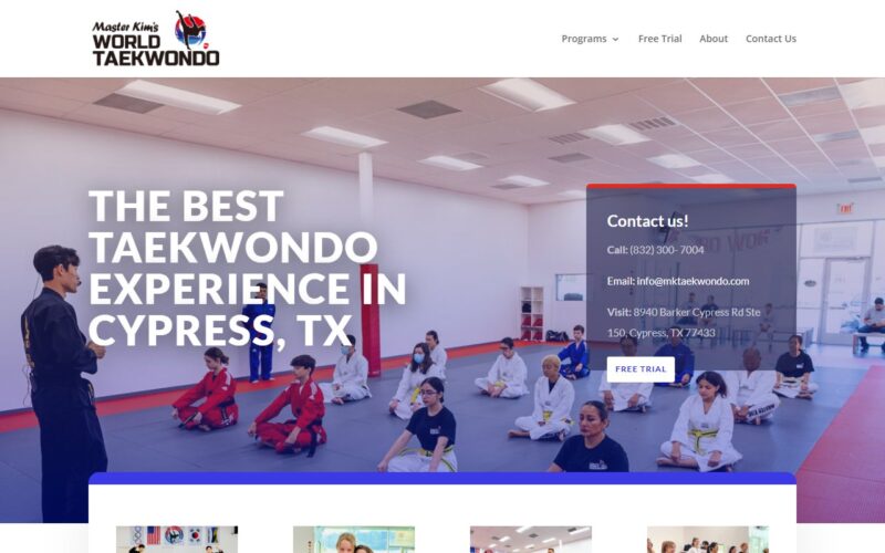 Master Kim's World Tae Kwon Do - Cypress