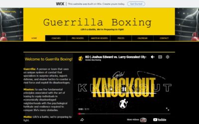 Guerrilla Boxing Academy 🥊