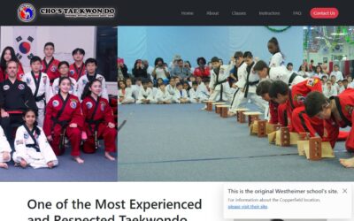 Cho's Taekwondo Westheimer- West Houston