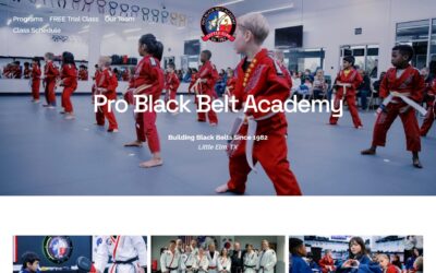 Professional Black Belt Academy Little Elm / West Frisco