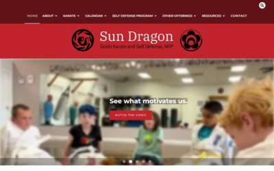 Sun Dragon Seido Karate & Self Defense, NFP