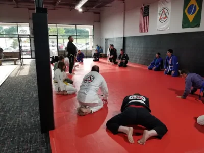 316 BJJ