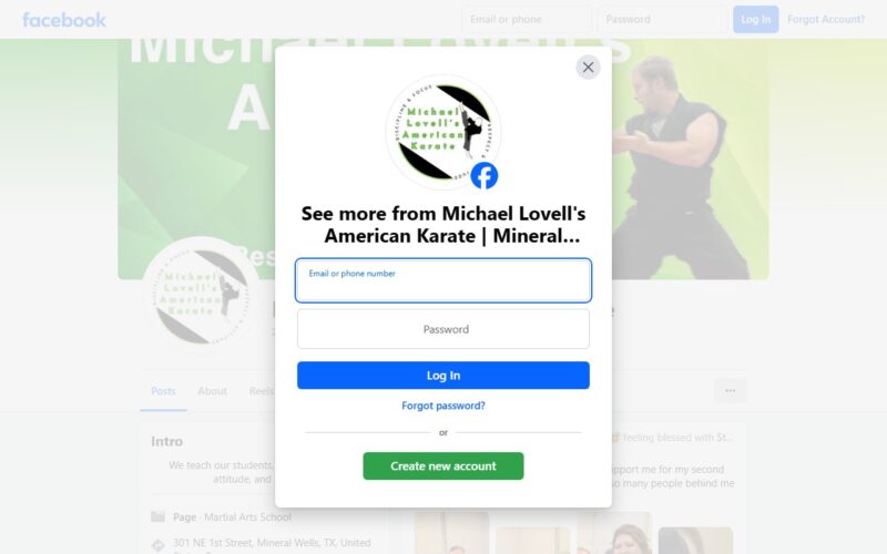 Michael Lovell's American Karate