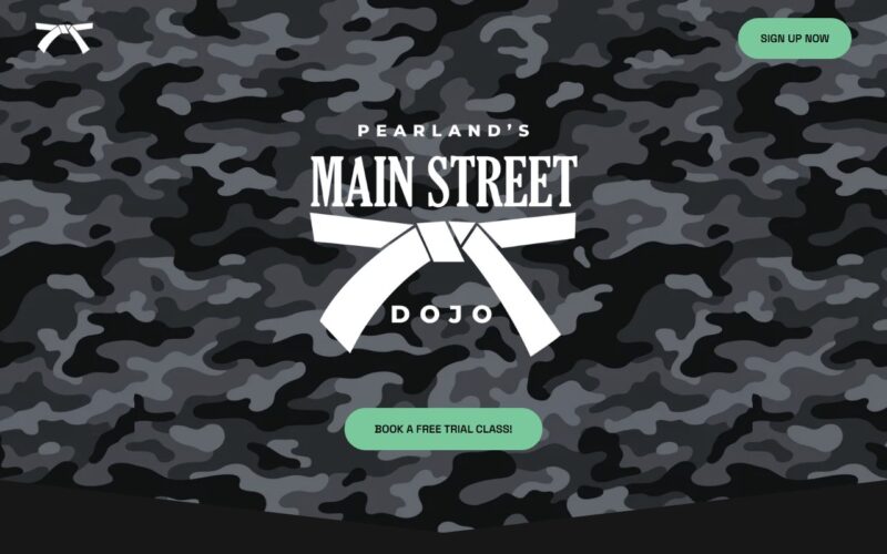 Pearland's Main Street Dojo