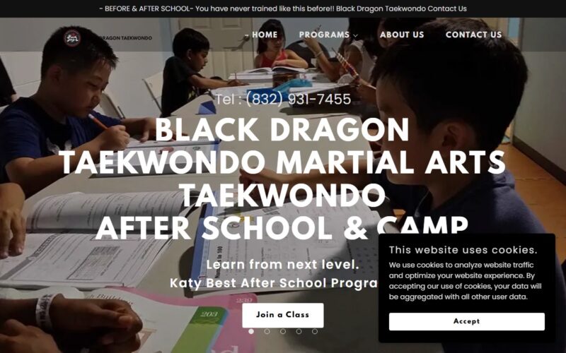 BLACK DRAGON TAEKWONDO | KATY CHILD CARE CENTER