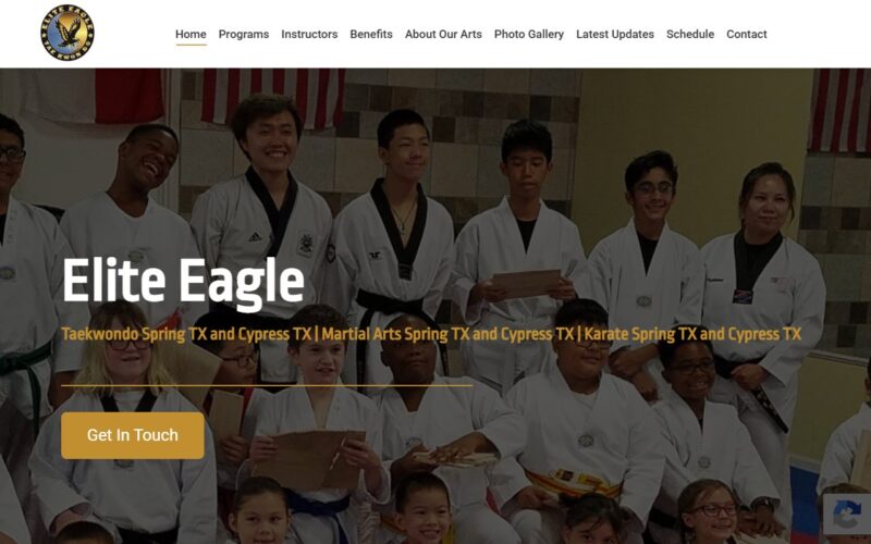 Elite Eagle Taekwondo (Cypress)