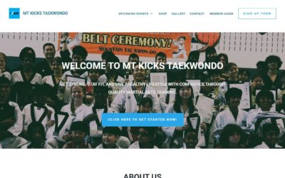 Mt Kicks TaeKwonDo & Martial Arts