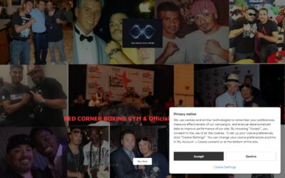 Red Corner Boxing Gym LLC and Sting Boxing Supplies Distributor and Boxing equipment