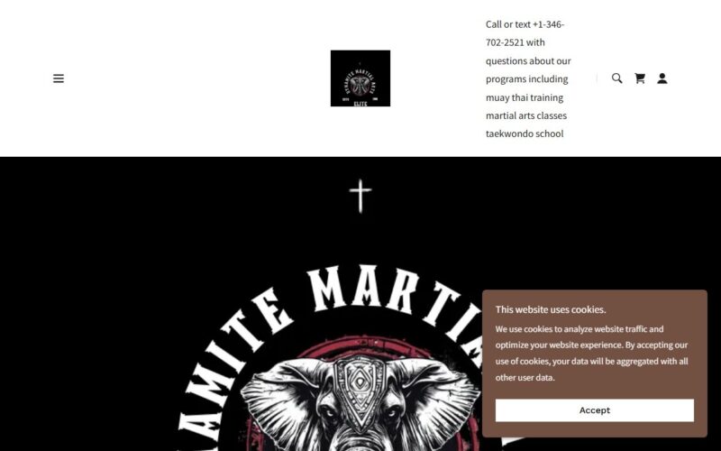 Dynamite Muay Thai & Martial Arts
