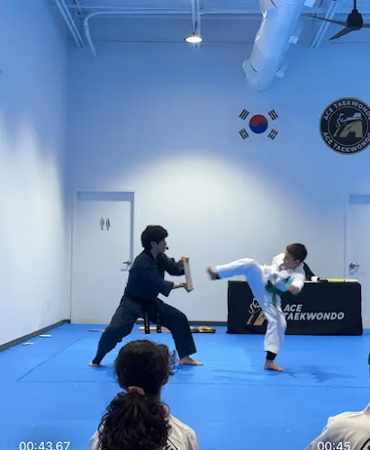 ACE Taekwondo - Kingwood