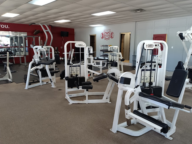 BULLDOG GYM