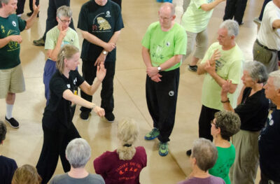 Taoist Tai Chi Society of the USA