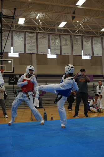 Tiger J Kim's World Class Taekwondo 4