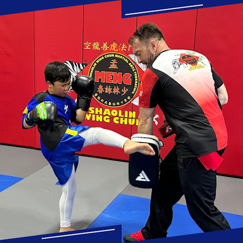 Meng's Martial Arts of Katy