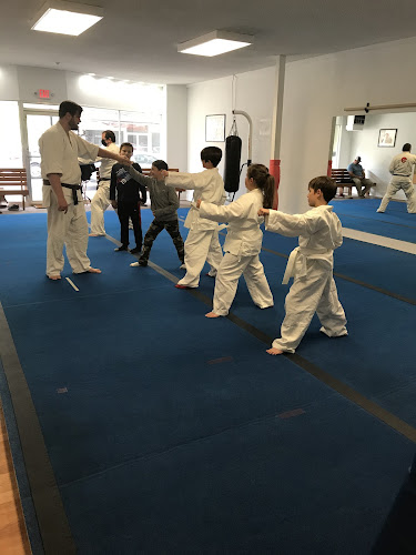Asian Martial Arts (Take Seiken Bujutsu)