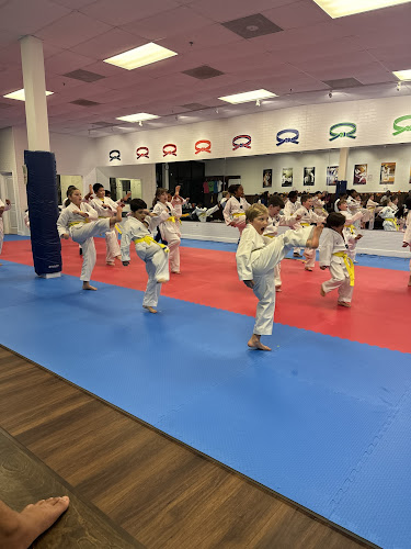 Tiger J Kim's World Class Taekwondo 3