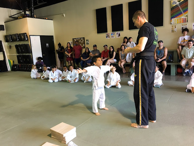 Premier Martial Arts Austin, TX