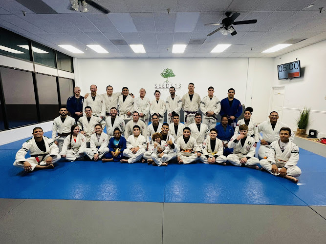 Seeds 13 Jiu-Jitsu Academy - Early, TX
