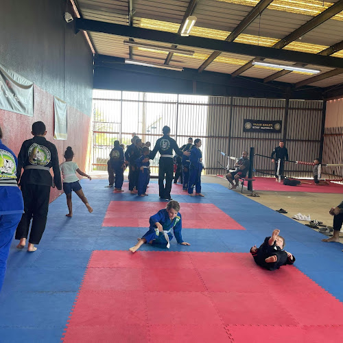 Storm MMA & Fitness