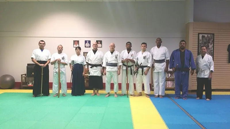 Academy of Asian Martial Arts
