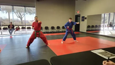 Action KARATE Academies