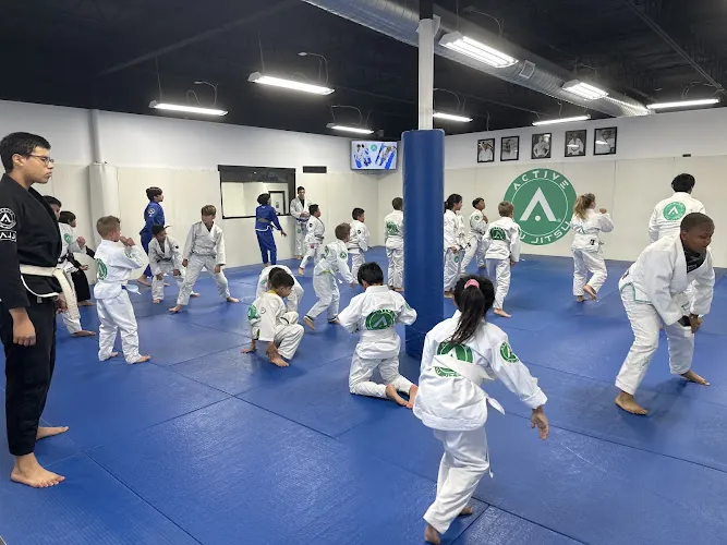 Active Jiu Jitsu Houston