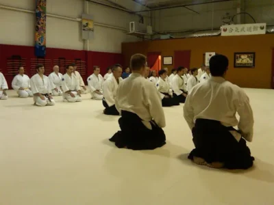 Aikido At The Aikibudokan