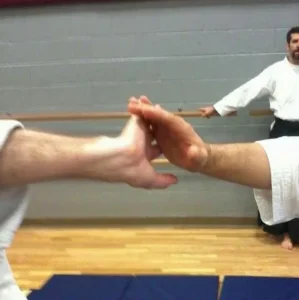 Aikido at Plano Dojo
