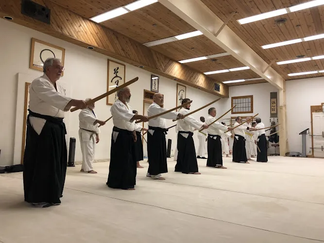 Aikido in Dickinson