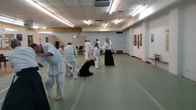 Aikido of El Paso