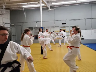 Aledo Martial Arts