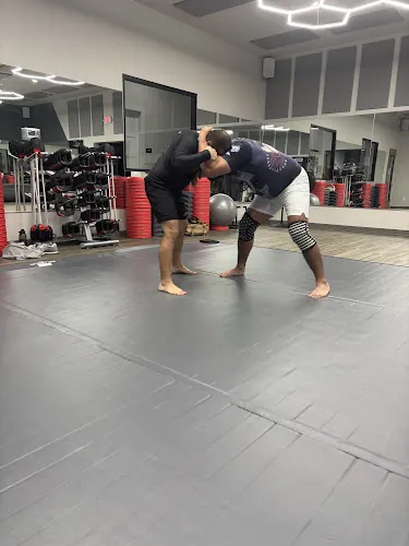 American Jiu Jitsu Academy TX