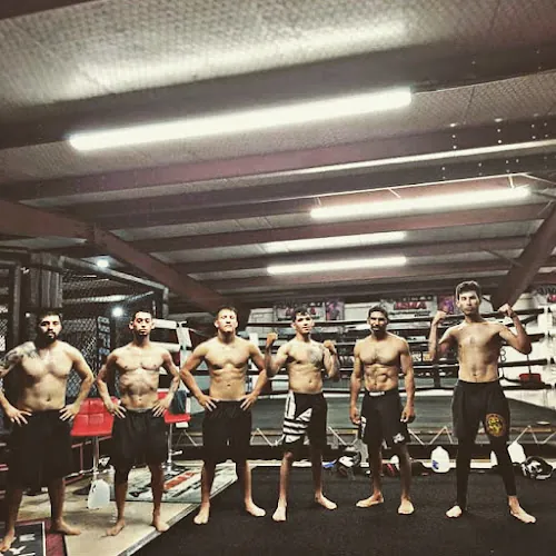 Angelo Mixed Martial Arts and fitness
