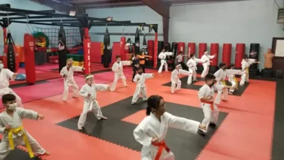 Apex Karate Academy