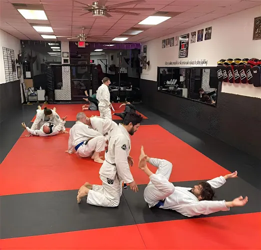 Austin Submission Fighting