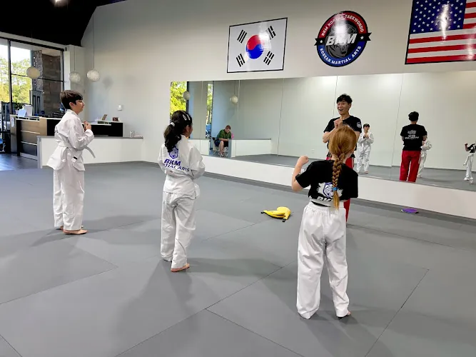 BKM Martial Arts the Woodlands