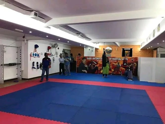 Babu Antony School of Martialarts USA