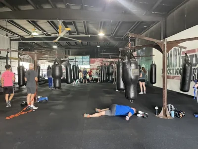 Baby Bull Boxing