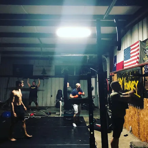 BattleBorn Boxing