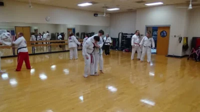 Berringer Martial Arts
