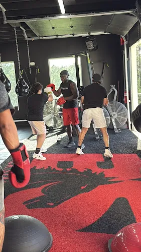 Black Stallion Boxing Plus
