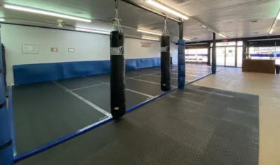 Blue Lion American Jiu Jitsu