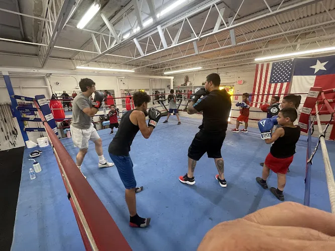 Boxing Zone