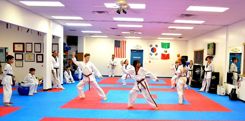 Brio Taekwondo