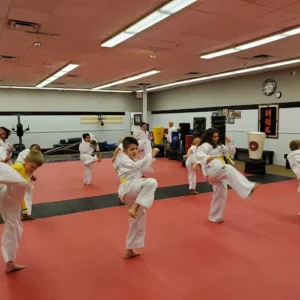 Concho Valley Martial Arts Center