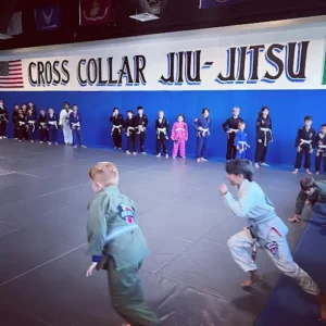 Cross Collar Jiu Jitsu