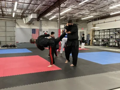 DC Martial Arts