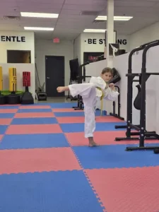 Dallas Taekwondo Academy