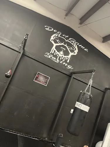 Dead Game Boxing Gym