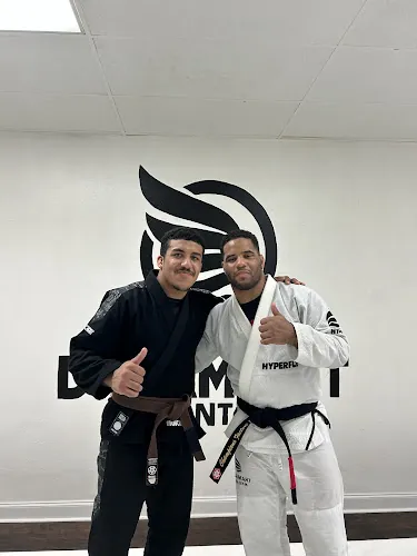 Dream Art Brazilian Jiu Jitsu Academy